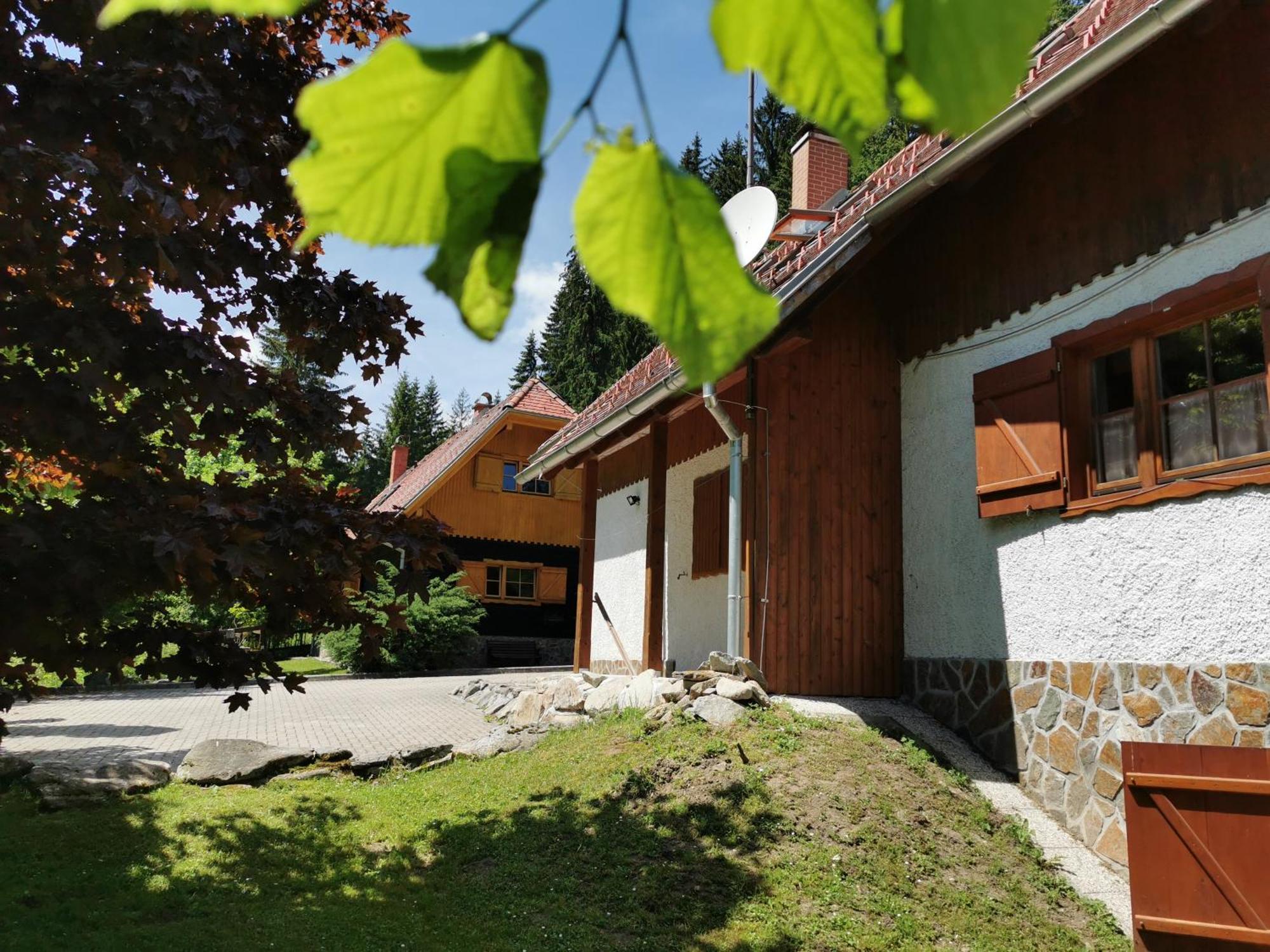 Pohorje House 2 Four Appartmetns Oplotnica Habitación foto