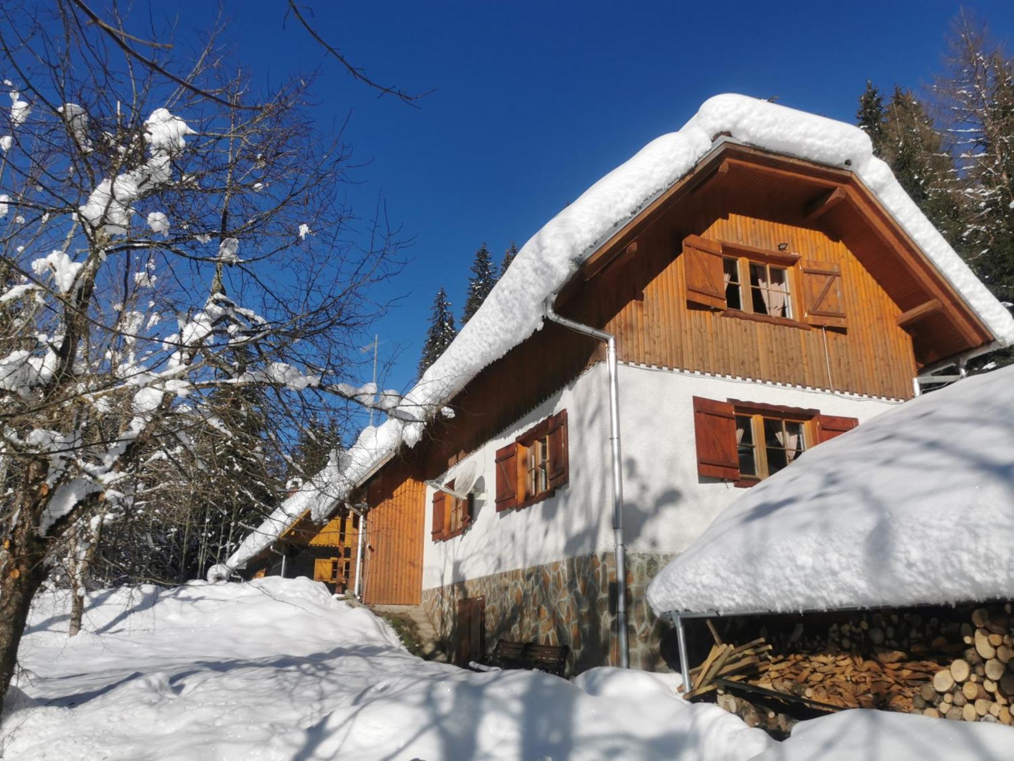 Pohorje House 2 Four Appartmetns Oplotnica Exterior foto
